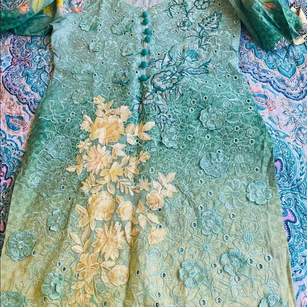 Pakistani Dress - Picture 2 of 12